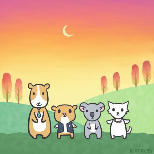 사용자 삽입 이미지