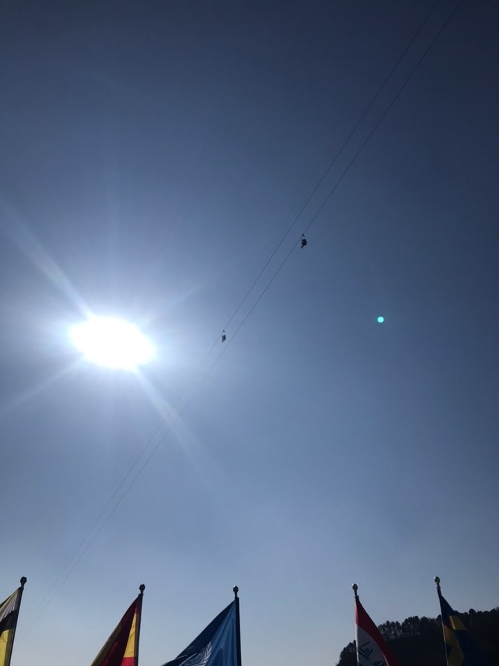 1612937420295-12.jpg