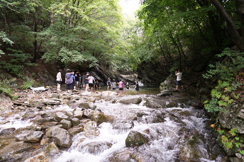 DSC00421.jpg