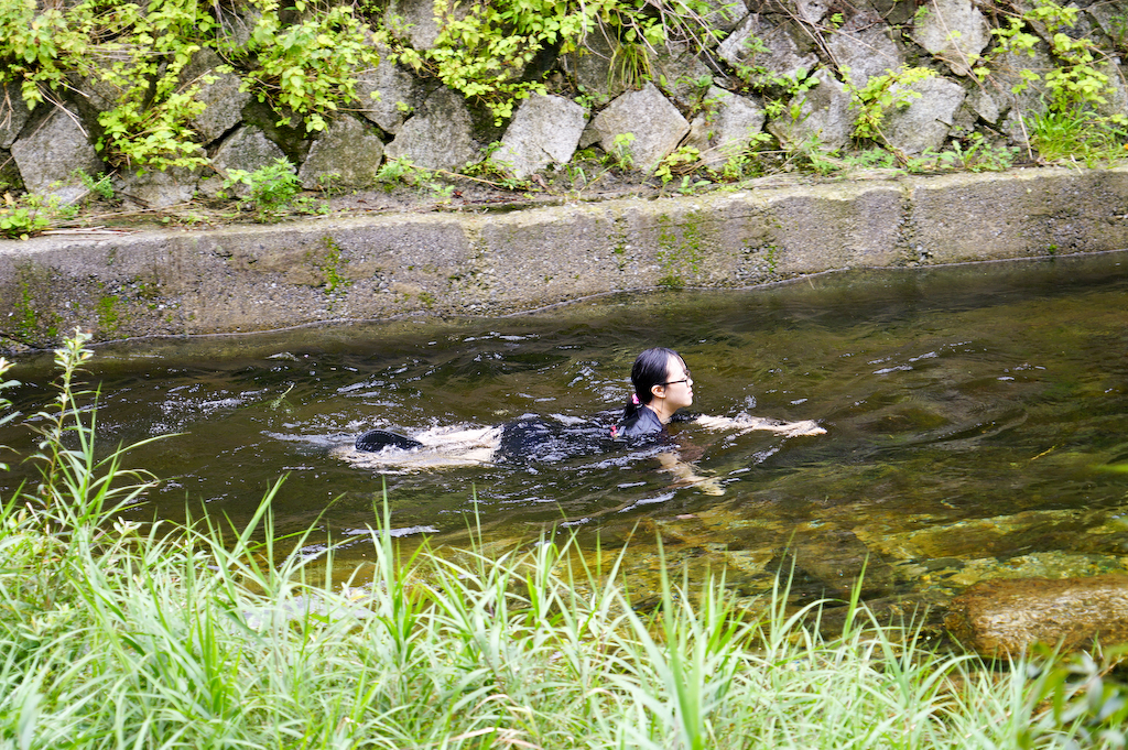 DSC00466.jpg