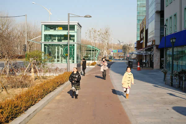 12181532.jpg